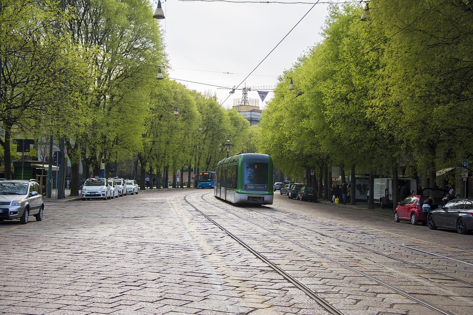 Milano, gli alberi saranno tutelati come bene comune