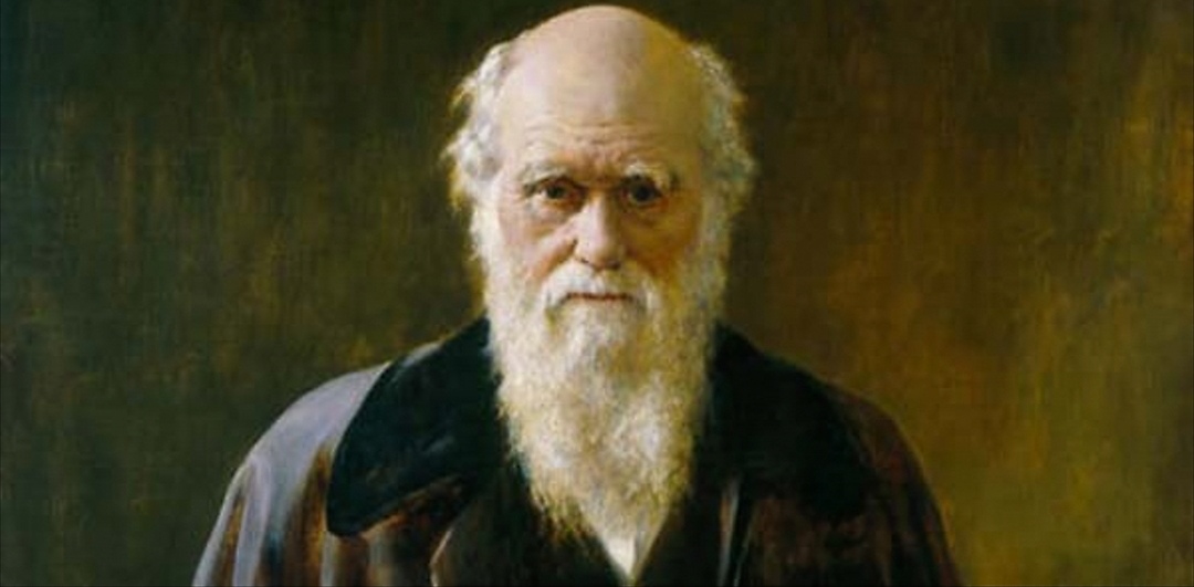 Photo of Darwin Day 2019 a Milano: ingresso gratis al Museo di Storia Naturale