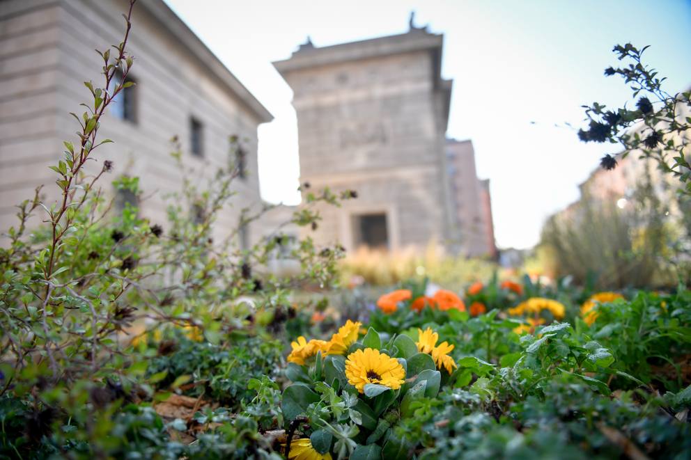 Photo of Arriva a Milano Pratofiorito, il giardino temporaneo con fiori e piante per la biodiversità urbana