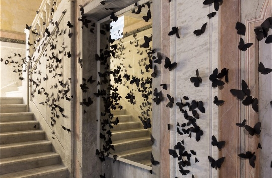Photo of L’ora dannata”, la mostra delle farfalle nere a Milano