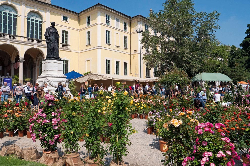 Photo of Torna a Milano Orticola 2019, la mostra mercato floreale nel cuore della città